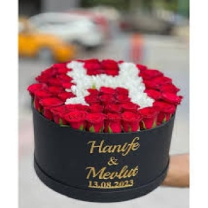  Kepez Çiçek - Kutu Papatya Gül
