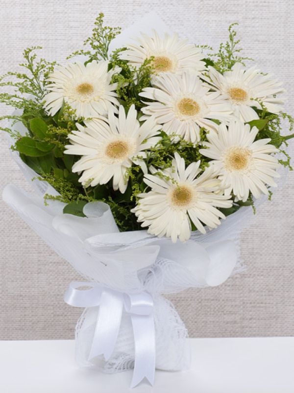  Kepez Çiçek Gönder - Beyaz Gerbera