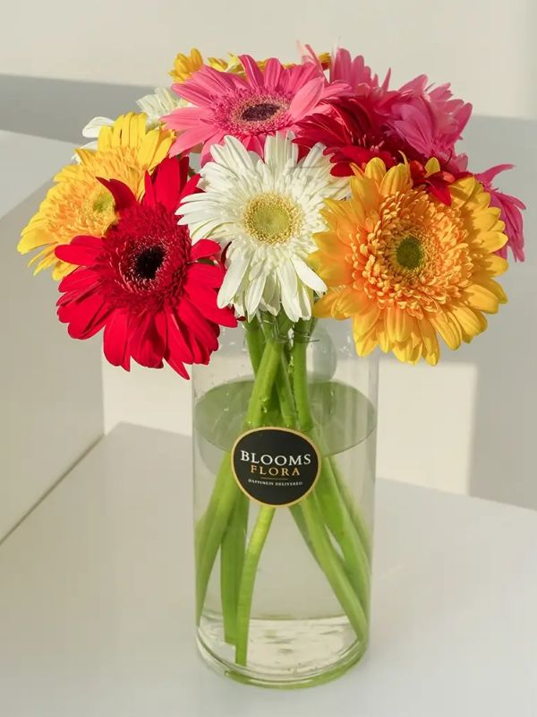  Kepez Çiçek - Vazoda 10 Gerbera
